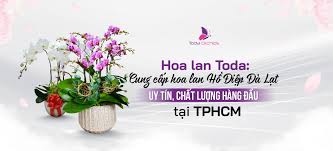 Công ty TNHH Hoa Lan Toda