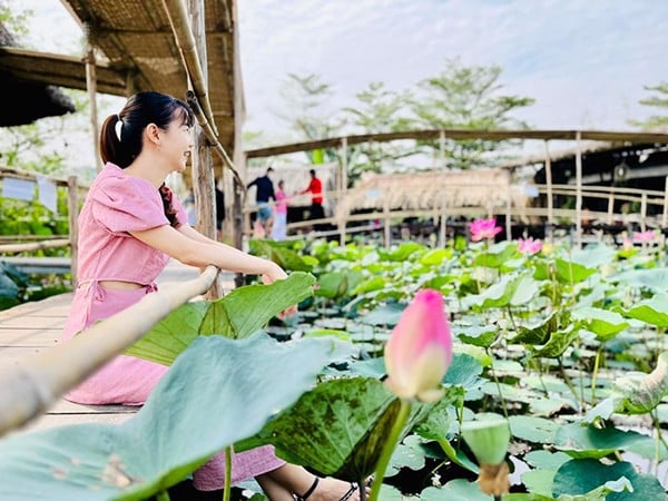 Khu Ẩm Thực Sinh Thái Sen Nam Bộ